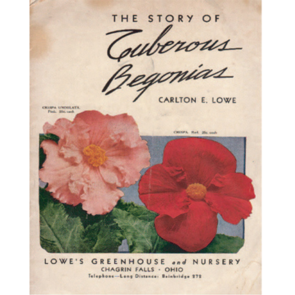 Lowe's Greenhouse 1926 catalog