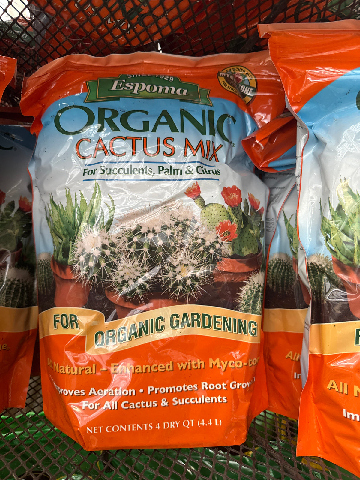 Cactus Palm &amp; Citrus Mix