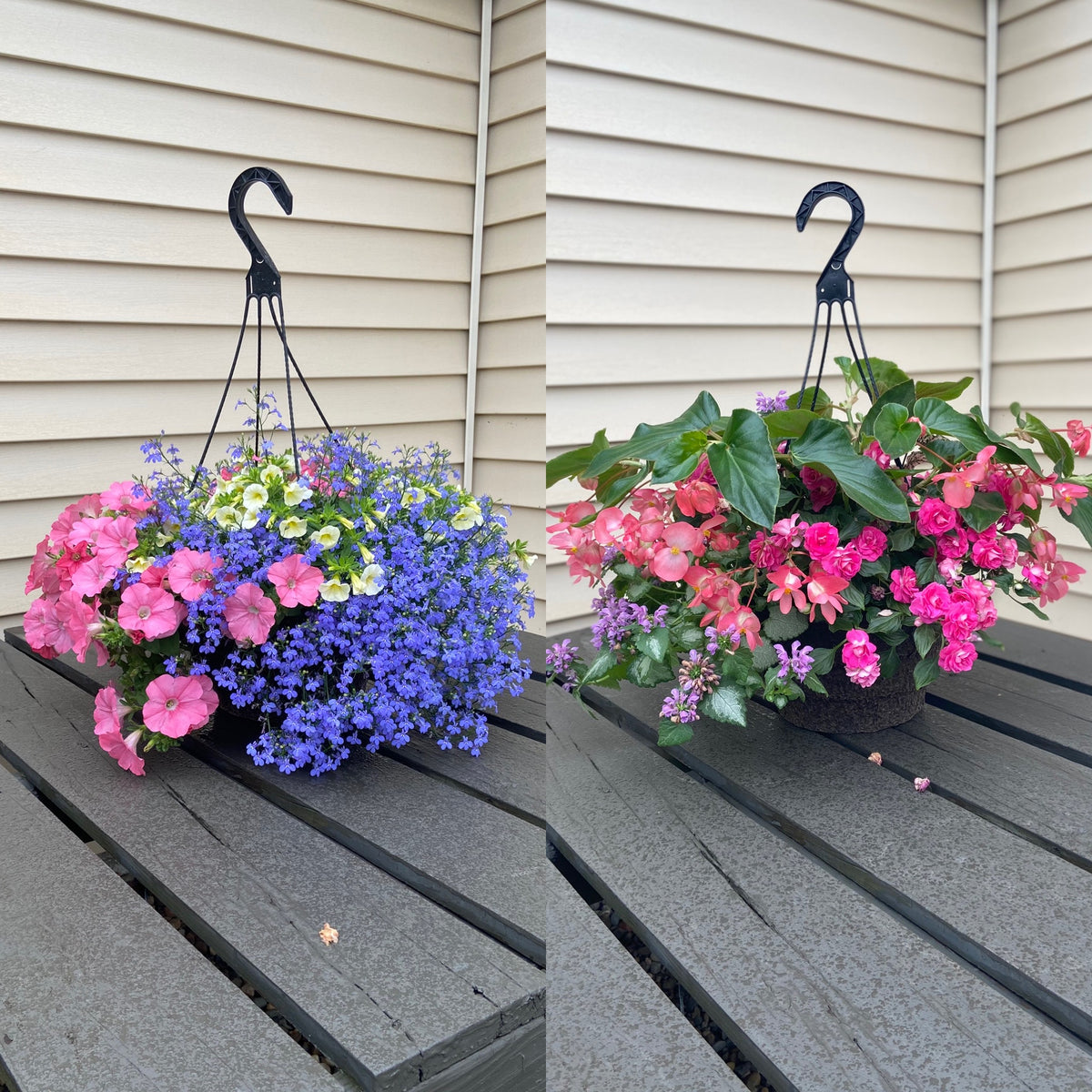 LG Hanging Basket 14"