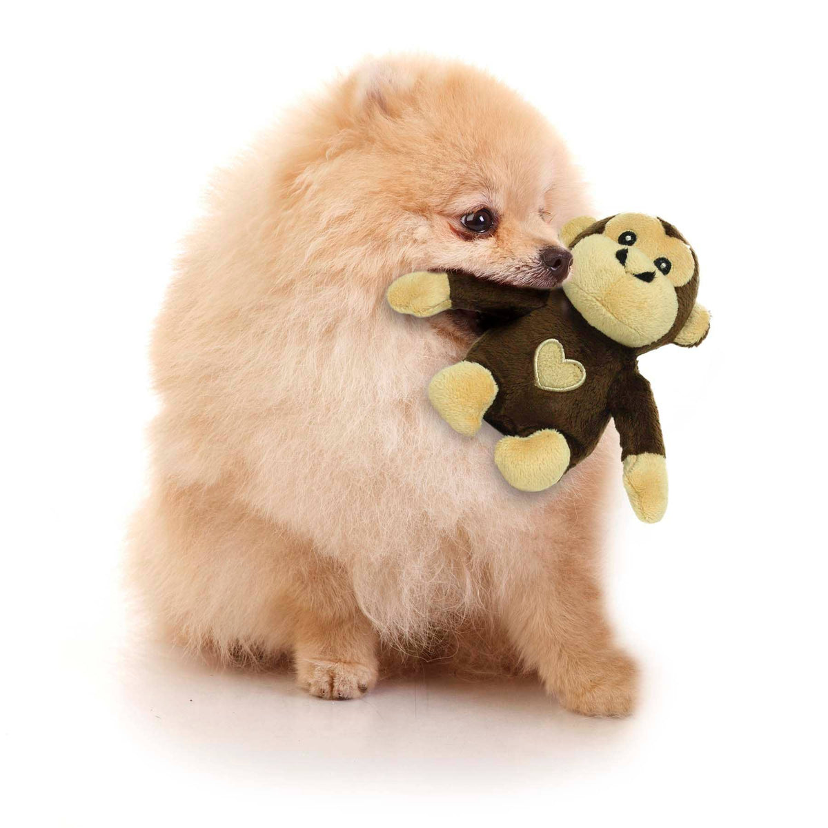Mighty Jr Safari Monkey - Brown Squeaky Dog Toy