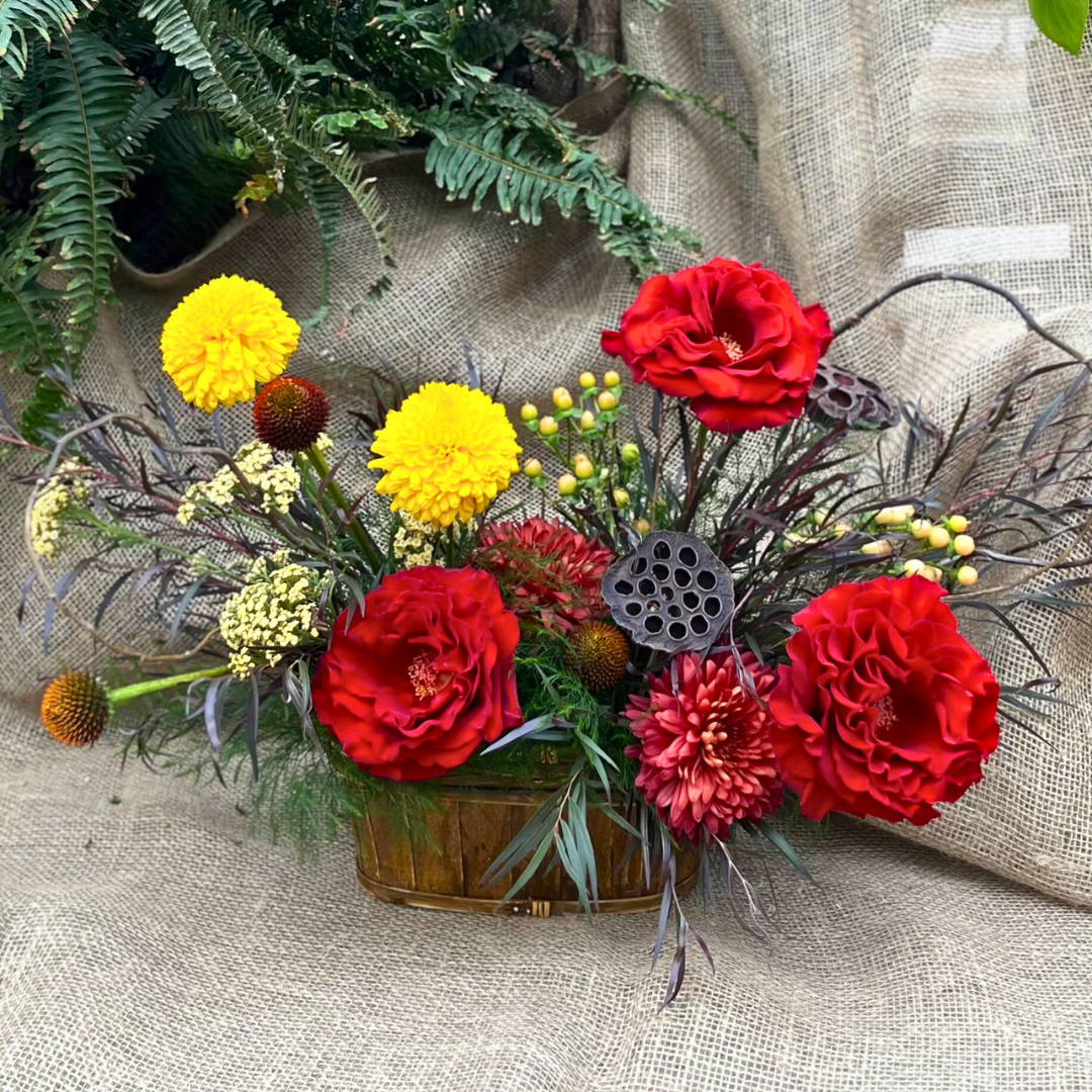 Autumn Wonder