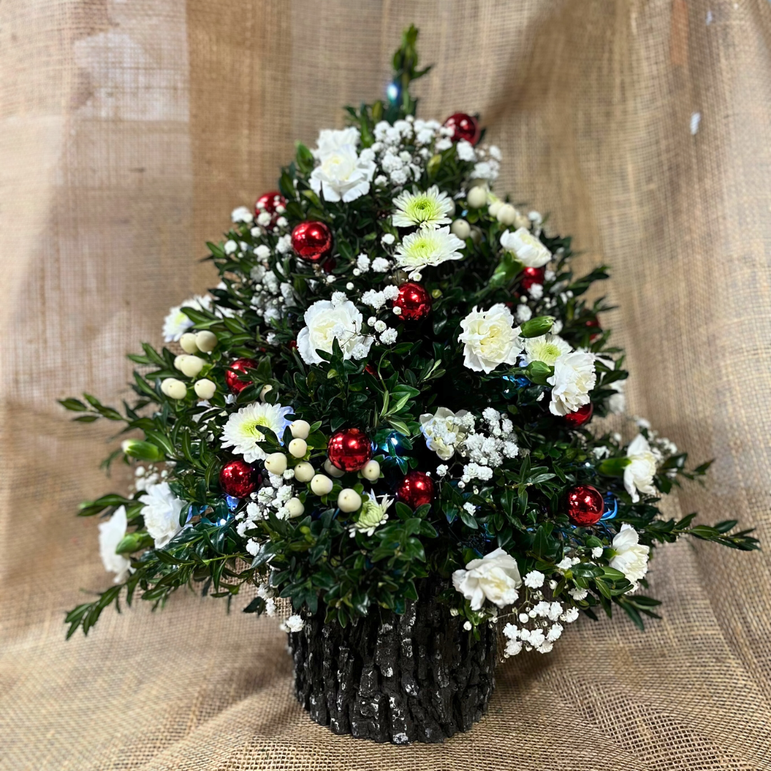 Beautiful Boxwood Tree