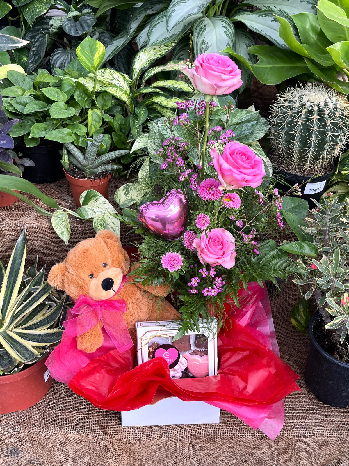 Bear-y Cute Buckeye Bundle