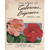Lowe's Greenhouse 1926 catalog