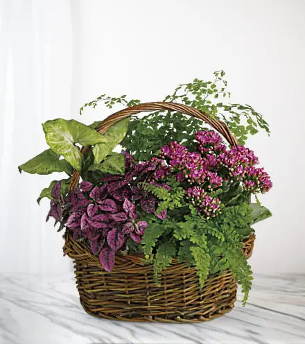 Blooming Sympathy Basket