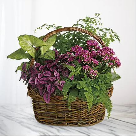 Blooming Sympathy Basket