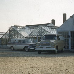 Historic Greenhouse at Lowe's Greenhouse