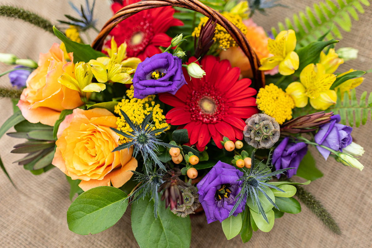 Bold and Beautiful Basket