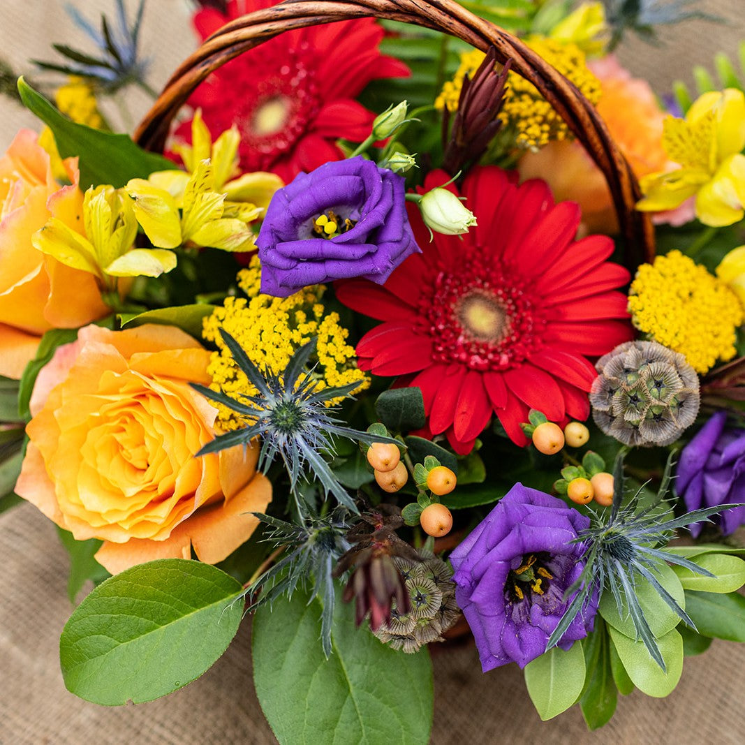 Bold and Beautiful Basket