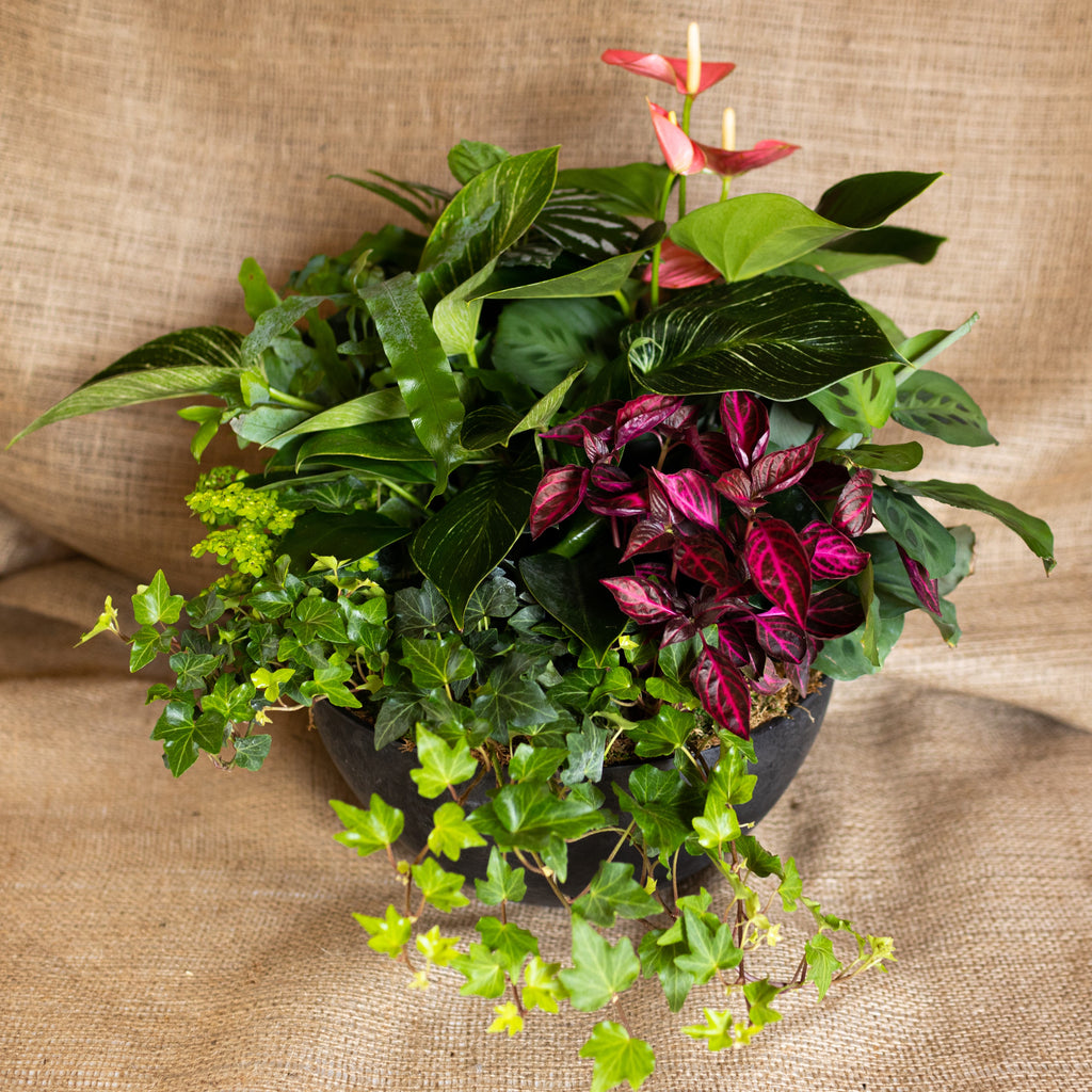 elburg smit mixed planter Mixed Planter